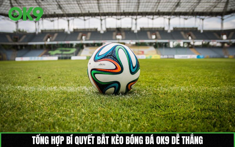 Tổng hợp bí quyết bắt kèo bóng đá OK9 dễ thắng