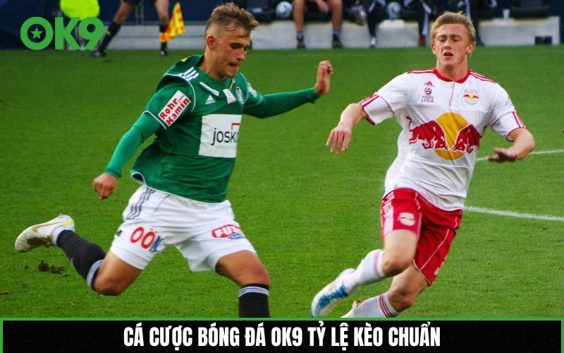Cá cược bóng đá OK9 tỷ lệ kèo chuẩn