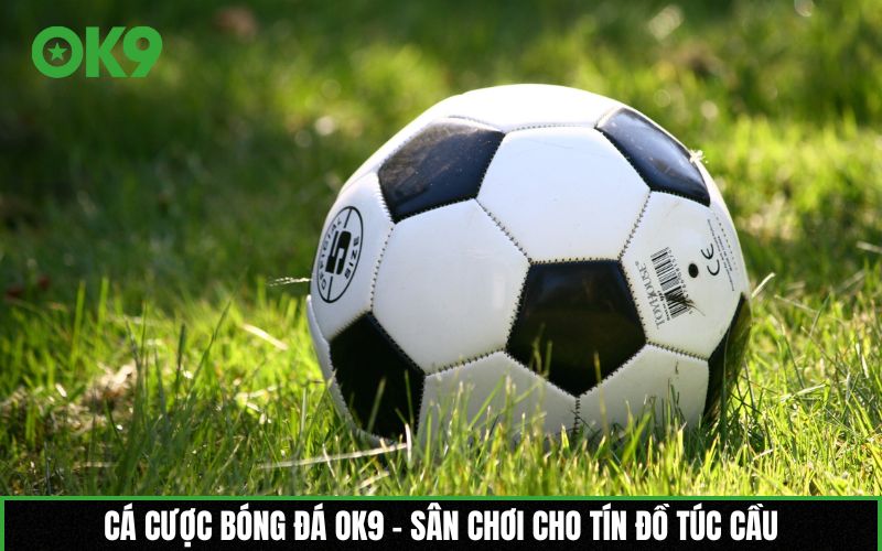 Cá cược bóng đá OK9 – Sân chơi cho tín đồ túc cầu