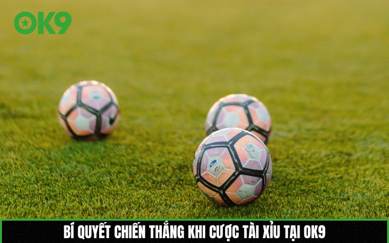 Bí quyết chiến thắng khi cược Tài xỉu tại OK9
